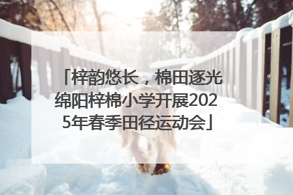 梓韵悠长，棉田逐光 绵阳梓棉小学开展2025年春季田径运动会