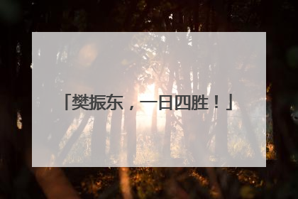 樊振东，一日四胜！