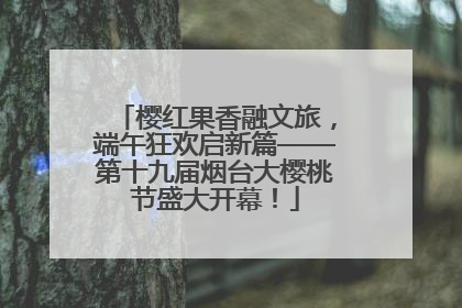 樱红果香融文旅，端午狂欢启新篇——第十九届烟台大樱桃节盛大开幕！