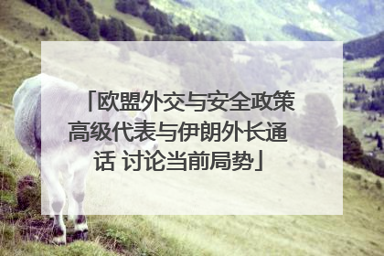 欧盟外交与安全政策高级代表与伊朗外长通话 讨论当前局势