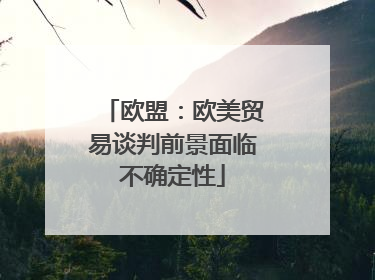 欧盟：欧美贸易谈判前景面临不确定性