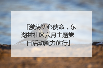 激荡初心使命，东湖村社区六月主题党日活动聚力前行