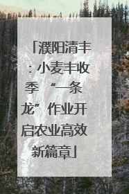 濮阳清丰：小麦丰收季 “一条龙”作业开启农业高效新篇章