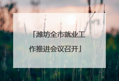 潍坊全市就业工作推进会议召开