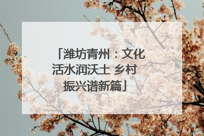潍坊青州：文化活水润沃土 乡村振兴谱新篇