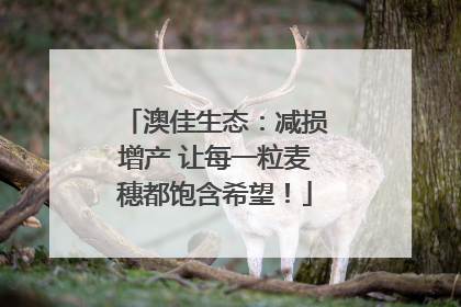 澳佳生态：减损增产 让每一粒麦穗都饱含希望！