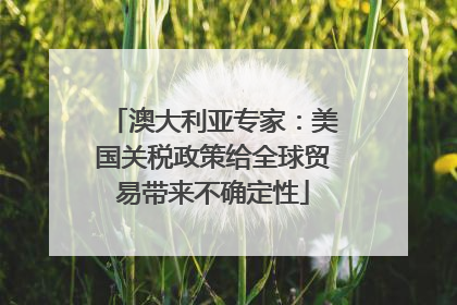 澳大利亚专家：美国关税政策给全球贸易带来不确定性