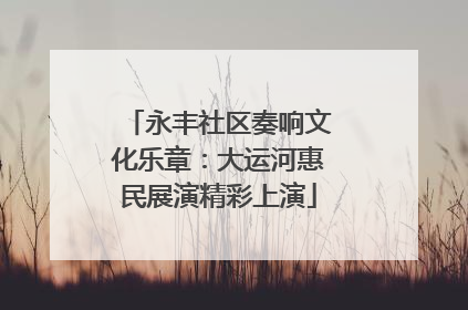 永丰社区奏响文化乐章：大运河惠民展演精彩上演