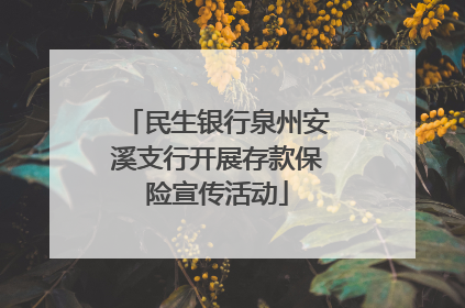 民生银行泉州安溪支行开展存款保险宣传活动