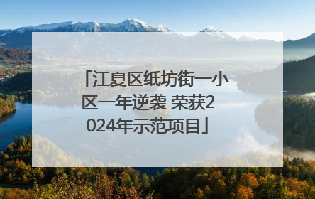 江夏区纸坊街一小区一年逆袭 荣获2024年示范项目
