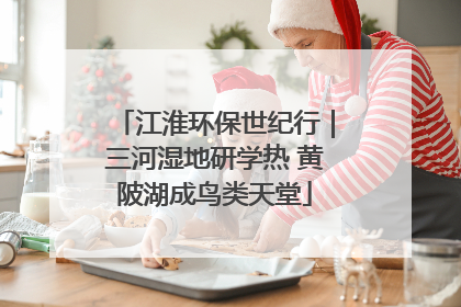 江淮环保世纪行｜三河湿地研学热 黄陂湖成鸟类天堂