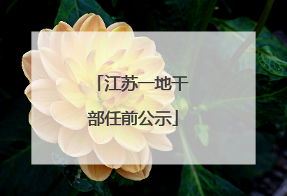 江苏一地干部任前公示