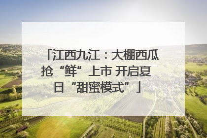 江西九江：大棚西瓜抢“鲜”上市 开启夏日“甜蜜模式”