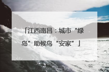 江西南昌：城市“绿岛”助候鸟“安家”