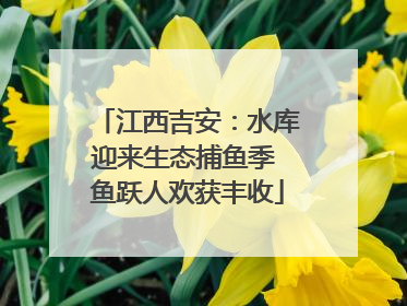 江西吉安：水库迎来生态捕鱼季 鱼跃人欢获丰收