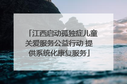 江西启动孤独症儿童关爱服务公益行动 提供系统化康复服务