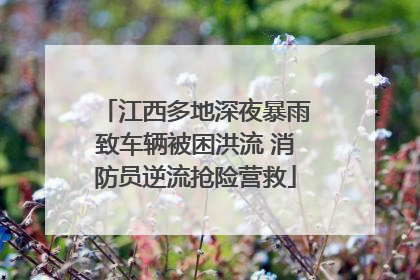 江西多地深夜暴雨致车辆被困洪流 消防员逆流抢险营救