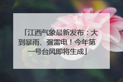 江西气象最新发布：大到暴雨、强雷电！今年第一号台风即将生成