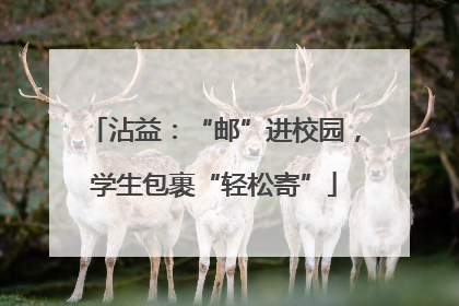 沾益：“邮”进校园，学生包裹“轻松寄”