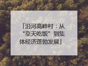 沿河高峰村：从“靠天吃饭”到集体经济蓬勃发展