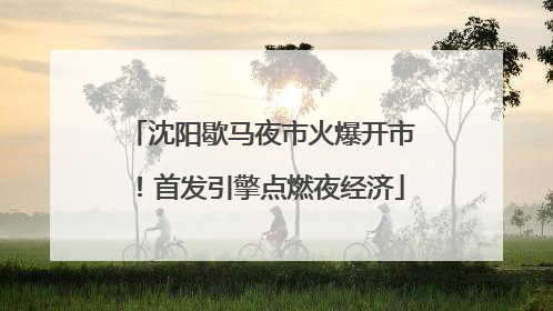 沈阳歇马夜市火爆开市！首发引擎点燃夜经济