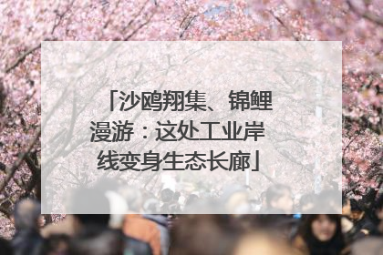 沙鸥翔集、锦鲤漫游：这处工业岸线变身生态长廊