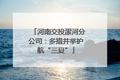 河南交投漯河分公司：多措并举护航“三夏”
