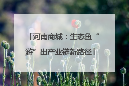 河南商城：生态鱼“游”出产业链新路径