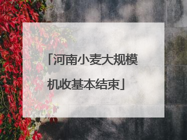 河南小麦大规模机收基本结束
