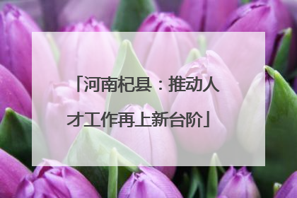 河南杞县：推动人才工作再上新台阶