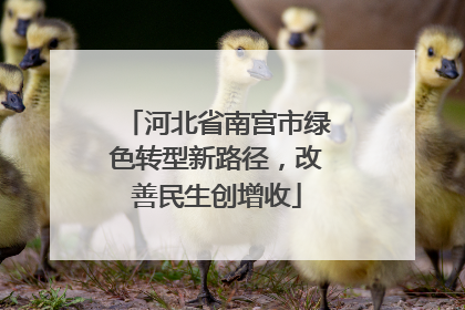河北省南宫市绿色转型新路径，改善民生创增收
