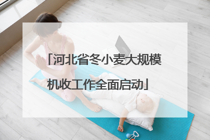 河北省冬小麦大规模机收工作全面启动