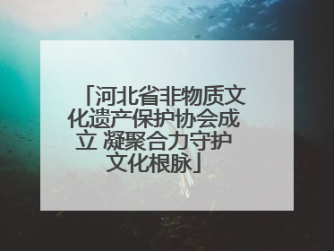河北省非物质文化遗产保护协会成立 凝聚合力守护文化根脉