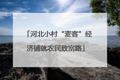 河北小村“麦客”经济铺就农民致富路