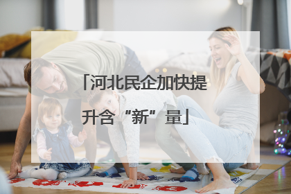 河北民企加快提升含“新”量