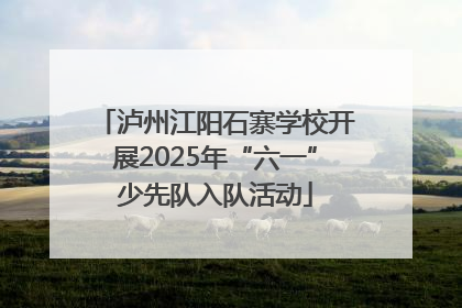 泸州江阳石寨学校开展2025年“六一”少先队入队活动