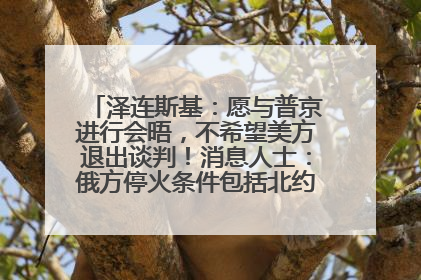 泽连斯基：愿与普京进行会晤，不希望美方退出谈判！消息人士：俄方停火条件包括北约“书面”保证不东扩