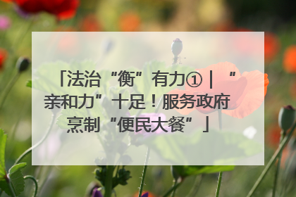 法治“衡”有力①｜“亲和力”十足！服务政府烹制“便民大餐”