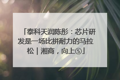 泰科天润陈彤：芯片研发是一场比拼耐力的马拉松｜湘商，向上⑤