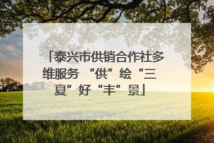 泰兴市供销合作社多维服务 “供”绘“三夏”好“丰”景