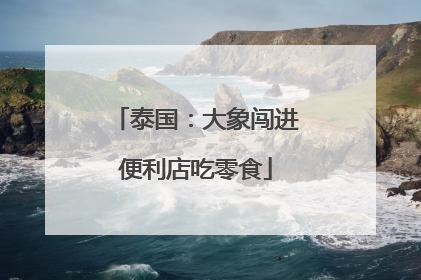 泰国：大象闯进便利店吃零食