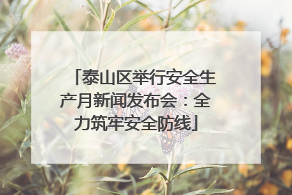 泰山区举行安全生产月新闻发布会：全力筑牢安全防线