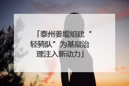 泰州姜堰组建“轻骑队”为基层治理注入新动力