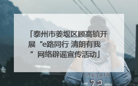 泰州市姜堰区顾高镇开展“e路同行 清朗有我”网络辟谣宣传活动