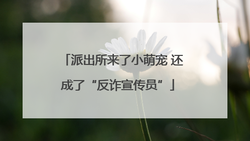派出所来了小萌宠 还成了“反诈宣传员”
