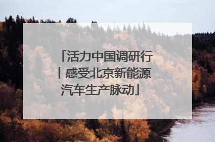 活力中国调研行丨感受北京新能源汽车生产脉动