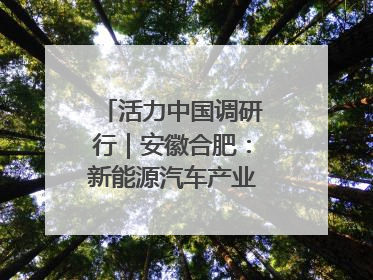 活力中国调研行｜安徽合肥：新能源汽车产业“加速跑”