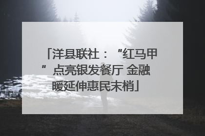 洋县联社：“红马甲”点亮银发餐厅 金融暖延伸惠民末梢