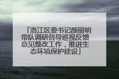 洛江区委书记颜丽明带队调研督导巡视反馈意见整改工作，推进生态环境保护建设