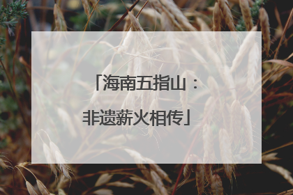 海南五指山:非遗薪火相传